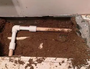 岐山测漏水哪家好