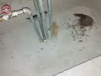 岐山卫生间测漏水价格明细