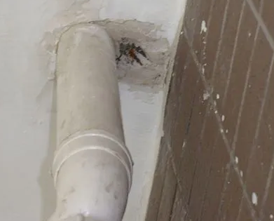 岐山漏水检测哪家好